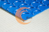 PVC Anti-Static Food Grade Conveyor Belt with Crescent Profile for Agricultural Inclided Conveying
